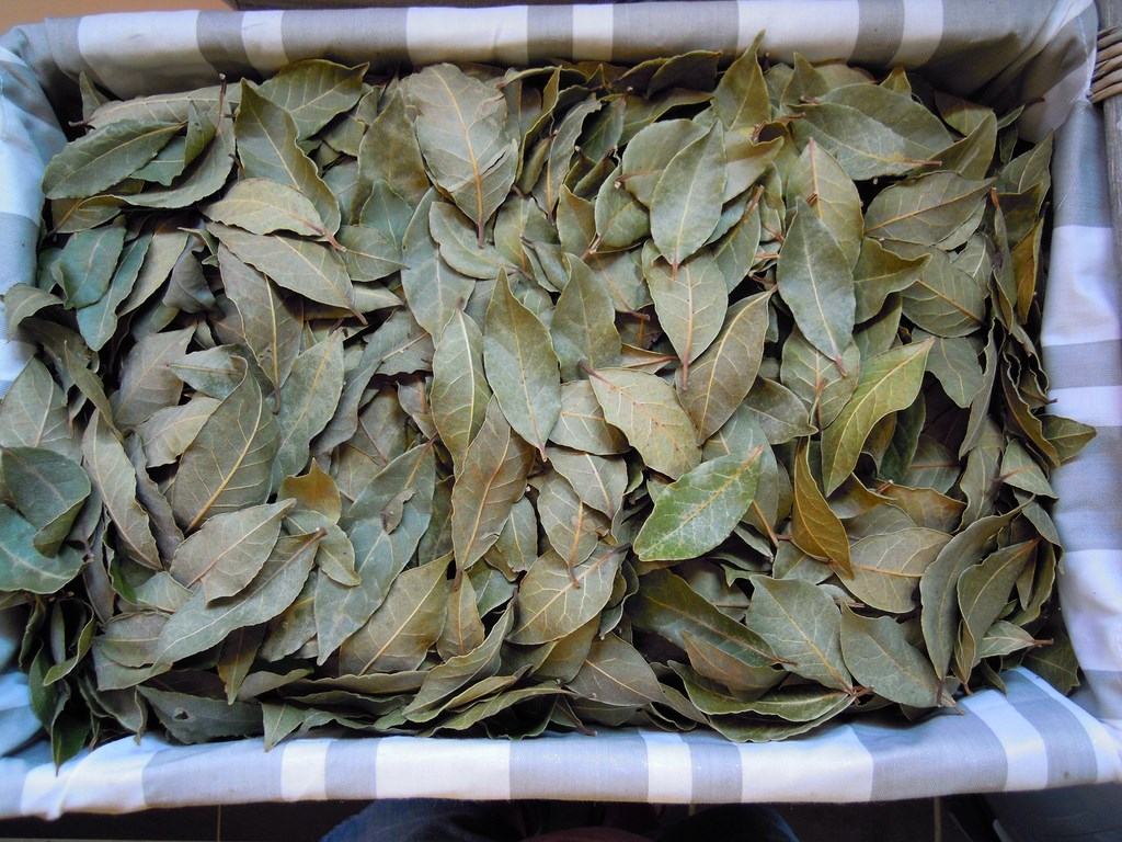 feuilles de laurier séchées.
